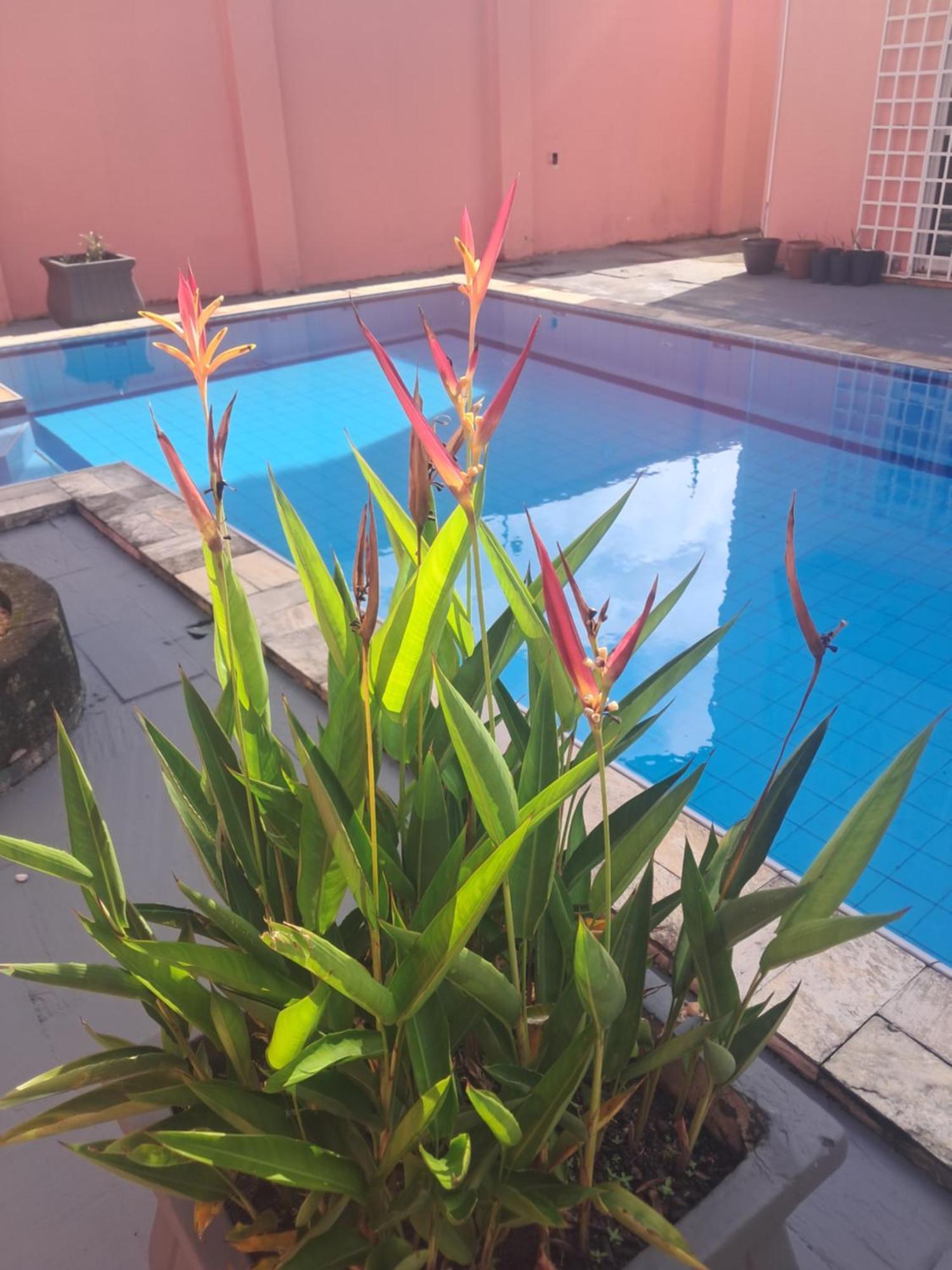 Quarto em Acomodações Particulares Casa Rosa 5 Min A Pe Da Ponta Ngra